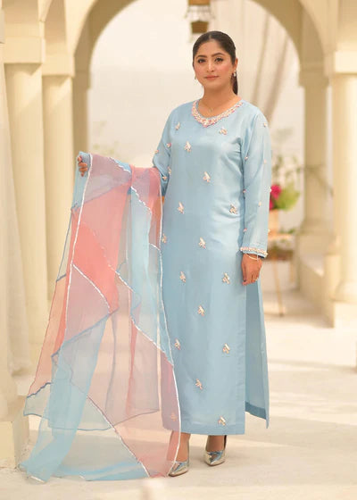 Illusion - Client Diary