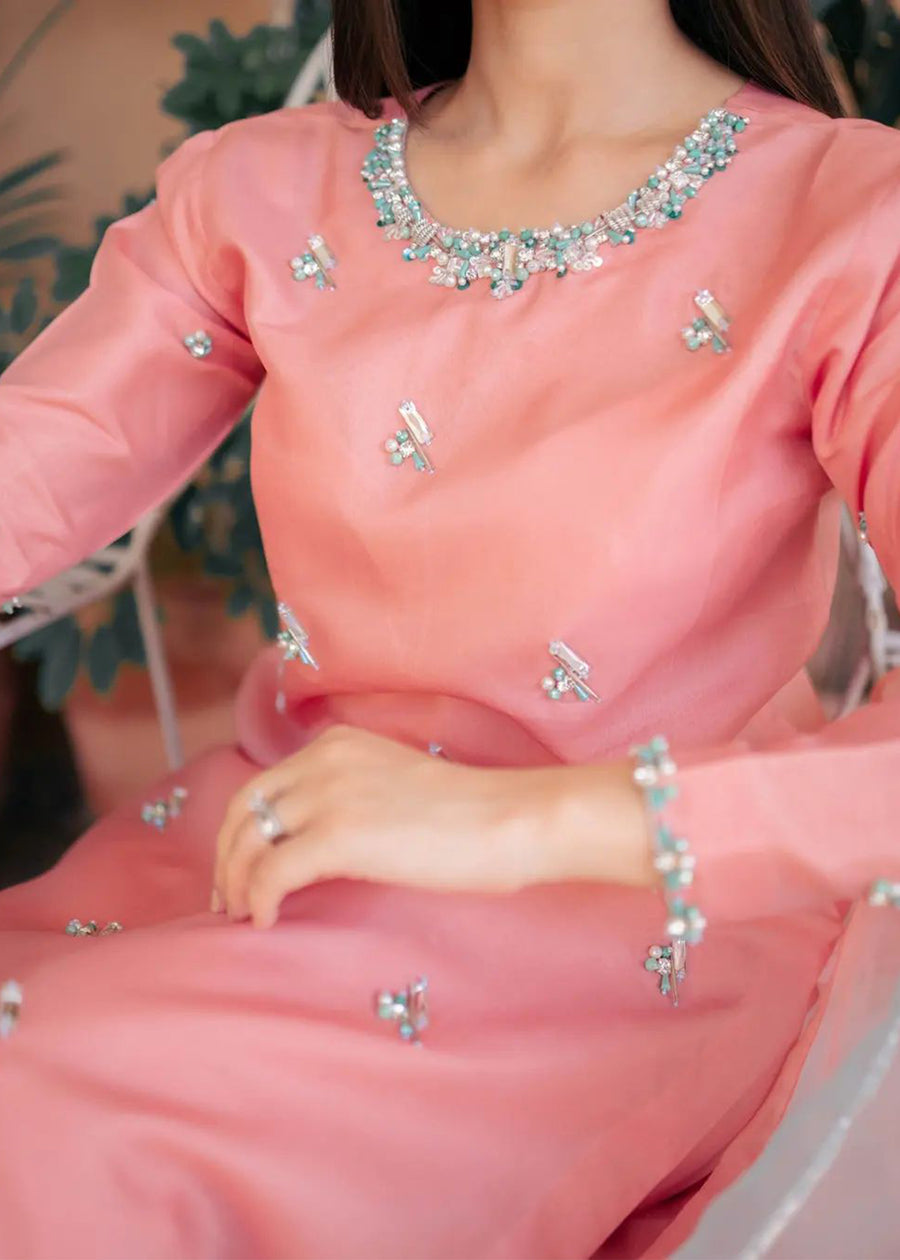 FIRST BLUSH - Client Diary