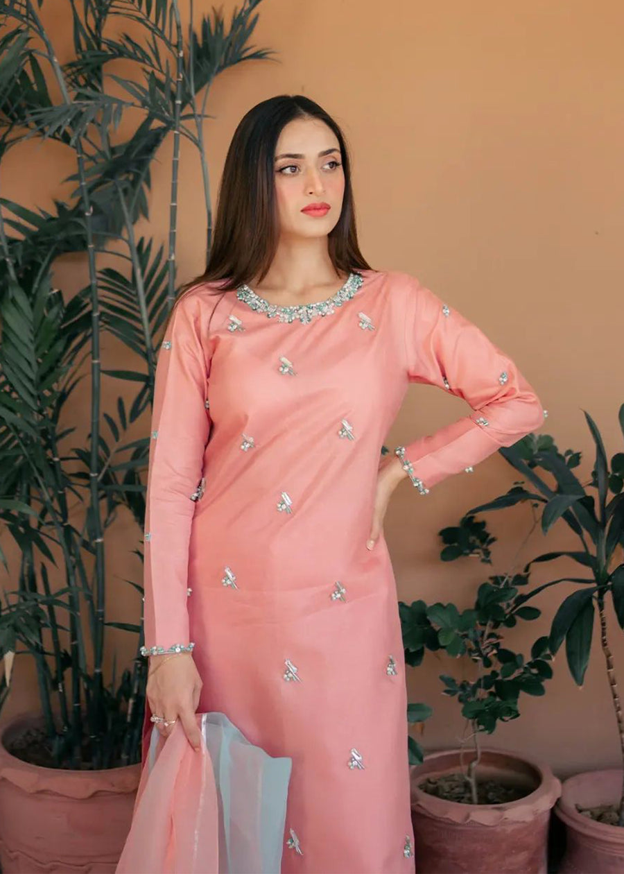 FIRST BLUSH - Client Diary