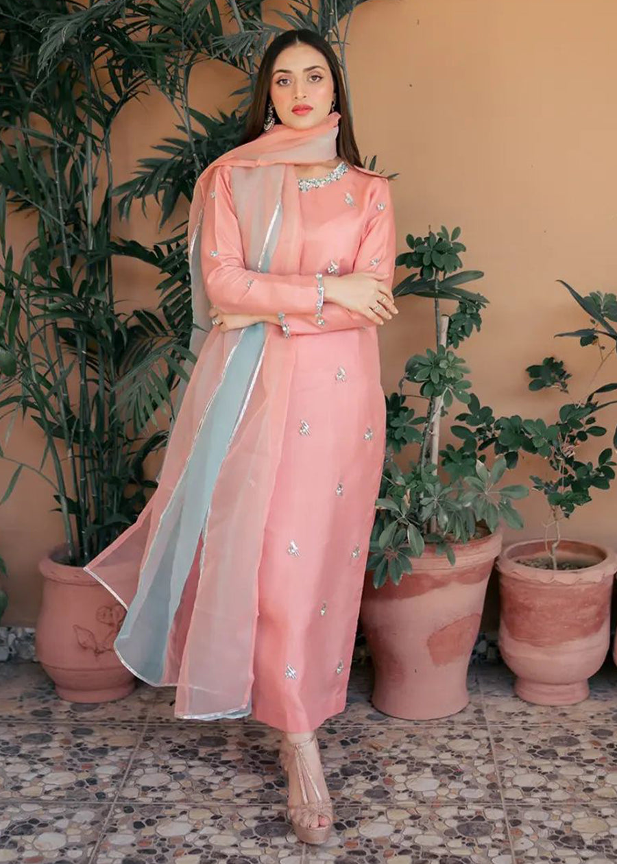 FIRST BLUSH - Client Diary