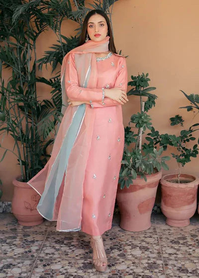 First Blush - Client Diary